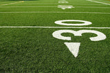 Artificial Turf