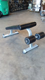 TRUE Fitness Paramount FS-21 Abdominal Crunch Bench - USED