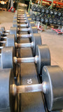 Iron Grip, Intek, Troy 30lb-125lb Urethane Dumbbell Set w/ Hammer Strength Dumbbell Racks (USED)
