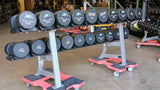 Iron Grip, Intek, Troy 30lb-125lb Urethane Dumbbell Set w/ Hammer Strength Dumbbell Racks (USED)